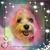 Kathi Oakes's profile image