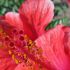 Cathy B.'s profile image