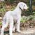 Susan McKay's profile image