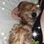 Cin Smith's profile image
