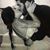 Cassady Spence Pope's profile image