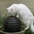 Judith Turrell's profile image