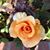 Meral Cakir's profile image