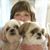 Sue Andrews's profile image