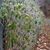 Christa Cairnes Roets's profile image