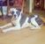Lizz Dolfin's profile image