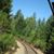 Donna Salisbury Carruthers's profile image