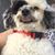 Linden Mundekis's profile image