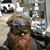 Bobby Hunt's profile image