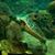 Candace Lynn Siddiqui's profile image