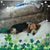 Linda Kline Miller's profile image