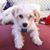 Sue McNeese's profile image