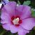Michelle Burns Milko's profile image
