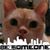 Deb Milford's profile image