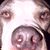 John DeRosa's profile image