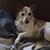 Sue Desantis's profile image