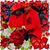 Prince Paul's profile image