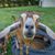 Tracy Wall's profile image