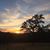 Roxanna Rabe's profile image