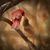 Rita Lanaux Hughes's profile image