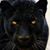 Chris D. Smith's profile image