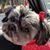 Shawna Bruner's profile image