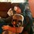 Patrick Stover's profile image