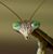 Scott Corrigan's profile image