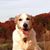 CnL's Sienna Farm's profile image