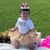 Lisa Peterson's profile image
