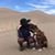 Jenny Forrister's profile image