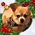 Carrie Rappuhn Hovis's profile image
