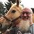 Mark Sauerbrey's profile image
