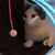 Rae Wenslow's profile image