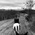 Armond Joe Tetreault's profile image