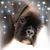 Dannielle Bigham's profile image