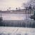 Nancy Guckenberger's profile image