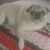 Douglas Sparks's profile image