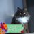 Gail Beyer's profile image