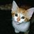 Janet Buntz's profile image