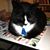 Susan Snyder's profile image
