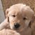 Julie Barber's profile image