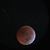 Wendy Hansen-Newby's profile image