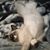 Lisa Robinson Marcoux's profile image