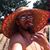 Anthony Meinert's profile image