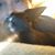 Richelle Alexander's profile image