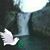 Ann Brown's profile image