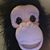 Walter Montgomery's profile image