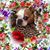 Rosemary Carpenter's profile image