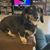Laura Kaneshiro Clark's profile image